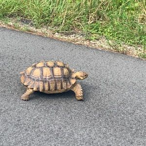 Meet your Posher, Kristina